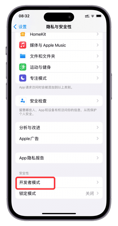 隐私与安全性 - 开发者模式入口
